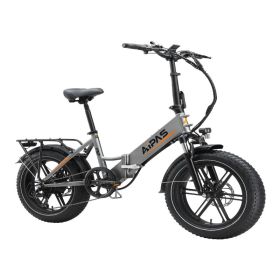 A2 Electric Bike Fat Tire 48V Removable Lithium Battery for Adult