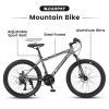 S24102 24 Inch Mountain Bike Boys/Girls 21 Speed