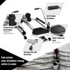 Adjustable Double Hydraulic Resistance Rowing Exercise