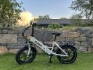 A2 Electric Bike Fat Tire 48V Removable Lithium Battery for Adult