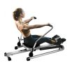 Adjustable Double Hydraulic Resistance Rowing Exercise