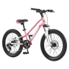 20" Youth Bike Kids Bike for Boys and Girls  7-Speed Drivetrain